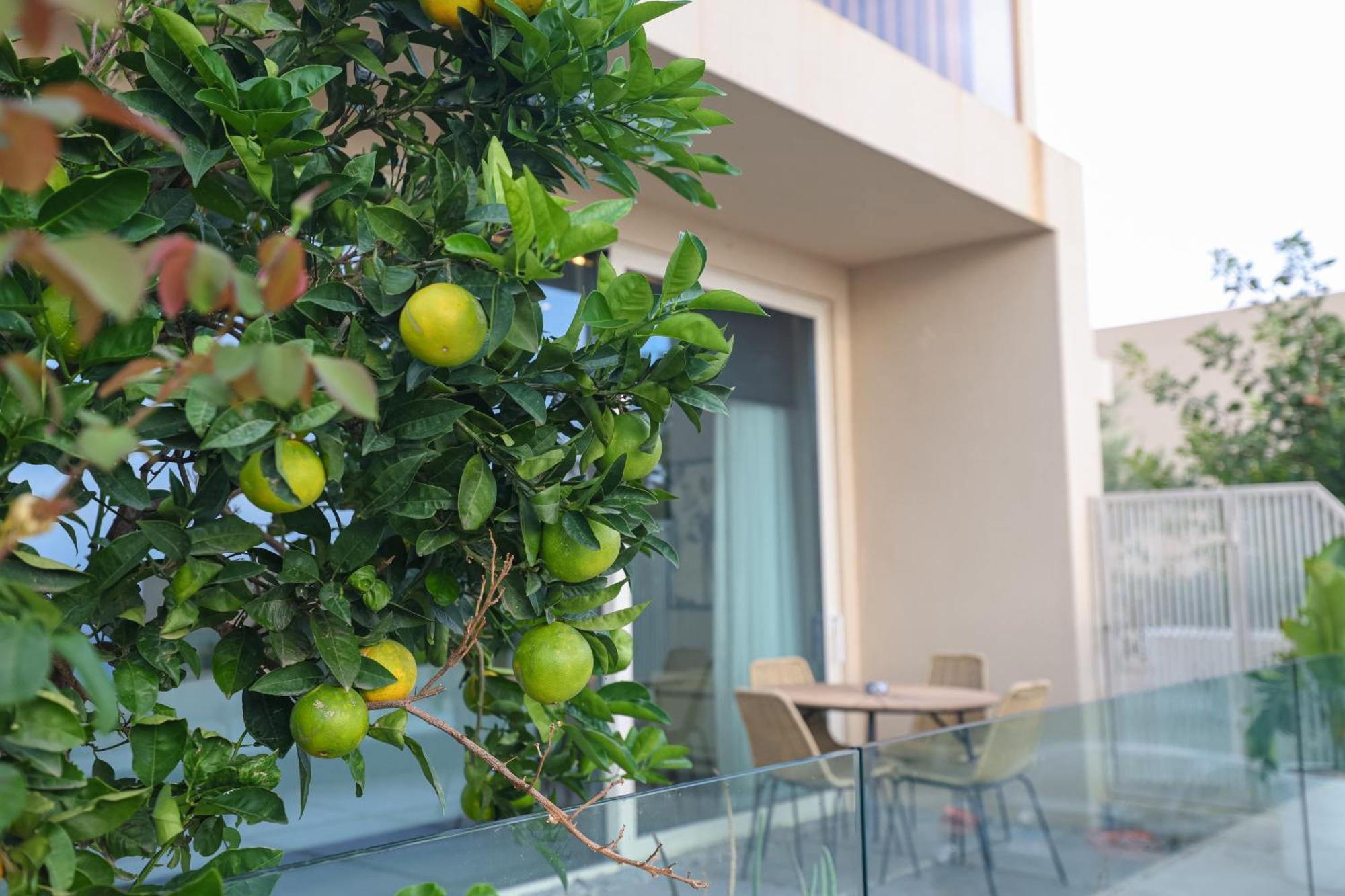 Green Coast Resort & Residences 94 Palasë Zewnętrze zdjęcie